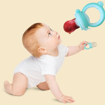Baby Fruit Feeder Pacifier, Silicone Mesh Feeder for Fresh and Frozen Food, Easy Hold Handle, 4 Colour Options
