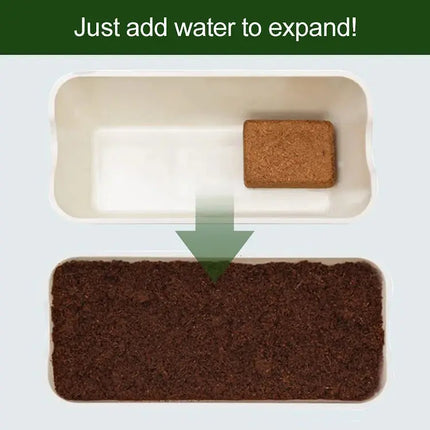 Coconut Coir Brick for Plants, Compressed Coconut Fiber for Seed Starting