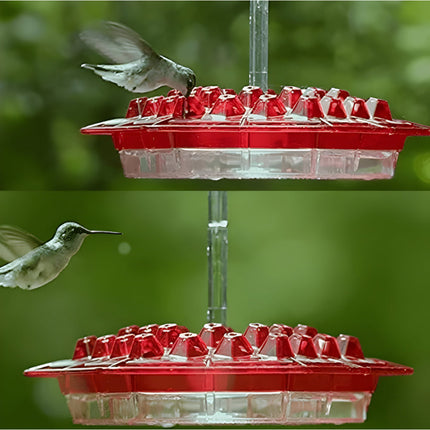 Hummingbird Feeder with 30 Feeding Ports & Easy Fill Design | Outdoor Hanging Station for 12 oz Nectar Capacity
