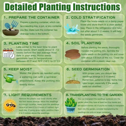 Blue Hosta Seeds for Planting – image 15