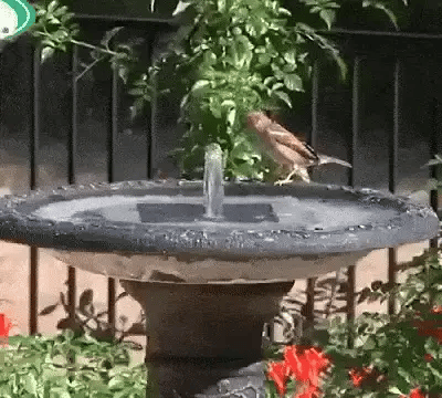 Solar-Powered Water Fountain with Adjustable Spray Height | Elegant Design for Garden Serenity