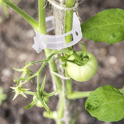 Plant Support Clips with Adjustable Design | Durable Garden Accessories for Healthy Growth