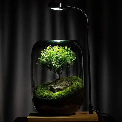 Moss Terrarium with Miniature Garden, Moss Terrarium with Miniature Garden – image 13