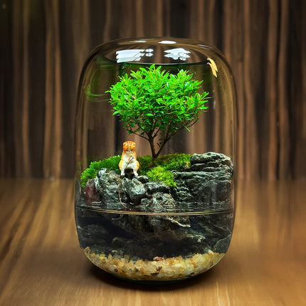 Moss Terrarium with Miniature Garden, Moss Terrarium with Miniature Garden – image 7