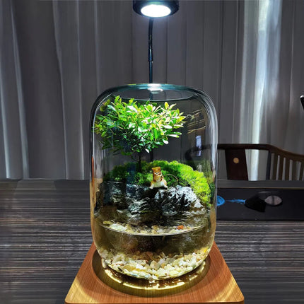 Moss Terrarium with Miniature Garden, Glass Terrarium for Home Decor – image 14