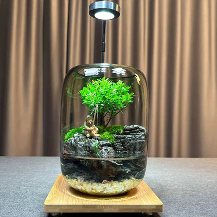 Moss Terrarium with Miniature Garden, Coffee Table Decor and Bookshelf Decor – image 15