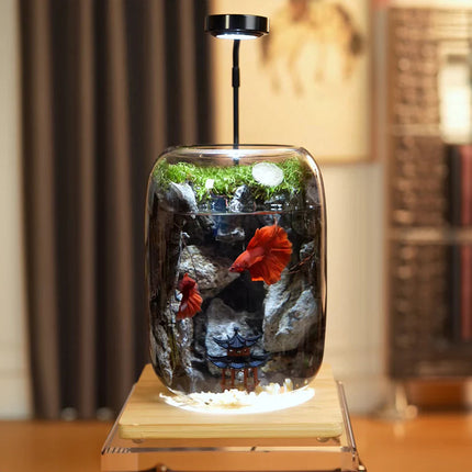 Moss Terrarium with Miniature Garden – image 16