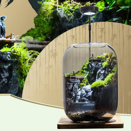 Moss Terrarium with Miniature Garden, Coffee Table Decor and Bookshelf Decor – image 21