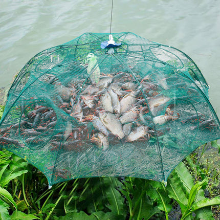 Collapsible Fishing Net Trap with Multiple Entry Points, Foldable Crab and Fish Trap Cage in 6, 8 and 10 Side Models