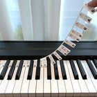 Piano Keyboard Labels Removable Silicone, Piano Key Labels for 88 Key Keyboard, Piano Note Strips for Beginners