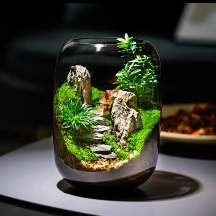 Moss Terrarium with Miniature Garden, Coffee Table Decor and Bookshelf Decor – image 9