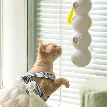 Interactive Cat Toys for Indoor Cats, Kitten Toys and Cat Enrichment