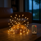 LED Fairy Lights with Remote, Copper Wire Fairy Lights for Bedroom and Room Decor, String Lights, Wedding Decorations