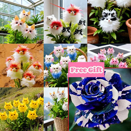 Plant Seeds for Indoor and Outdoor, Gardening Gift for Plant Lovers – image 10