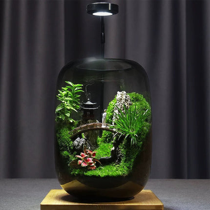 Glass Terrarium for Home Decor – image 17