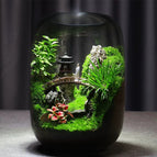 Pavilions / Single Landscape