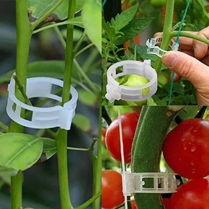 Reusable Plant Support Clips for Trellis and Stakes, Garden Supplies – image 6