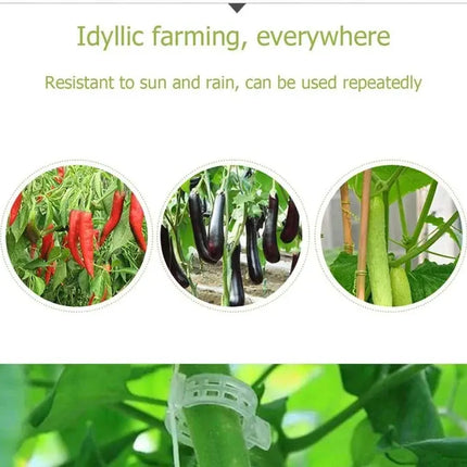 Tomato Clips for Plant Support, Reusable Plant Support Clips for Trellis and Stakes – image 4