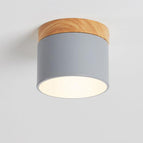 Grey / 3 Colors Changeable (Warm/Neutral/White)