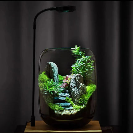 Moss Terrarium with Miniature Garden – image 22