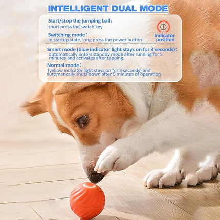 Interactive Dog Ball with Flashing Lights, Durable Dog Toy Ball That Moves – image 12