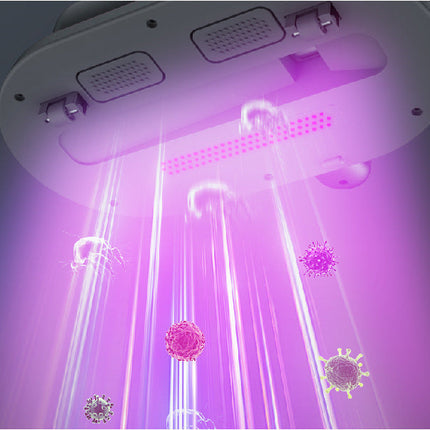 Ultraviolet Mite Remover with Powerful UV-C Light | Effective Tool for Home Sanitation