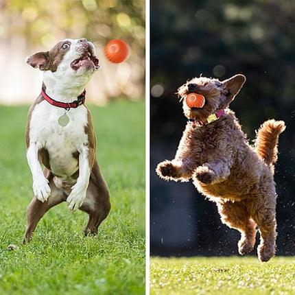 Interactive Dog Ball with Flashing Lights, Interactive Dog Toys for Bored Dogs – image 14