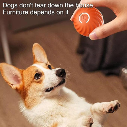 Interactive Dog Ball with Flashing Lights, Interactive Dog Ball with Flashing Lights – image 13