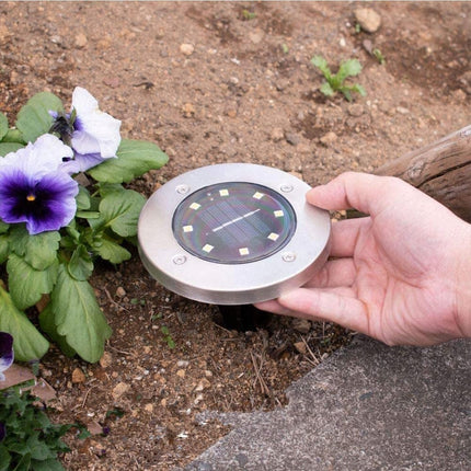 Solar Garden Stake Lights, IP65 Waterproof with Dusk to Dawn Sensor, 8 Hour Run Time, Sets of 4, 8 or 12