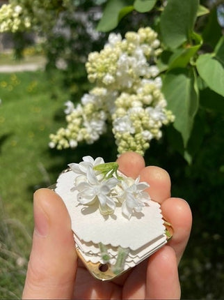Mini Flower Press with Blotter Paper, Flower Pressing Craft Tool for Pressed Flower Art – image 12