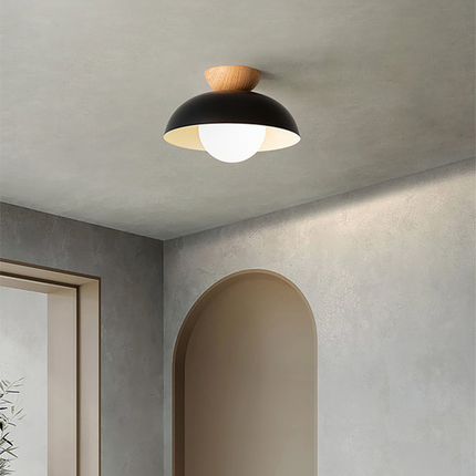 Nordic Dome Ceiling Light with Eco-Friendly Metal & Glass | Soft Diffused Illumination for Modern Spaces
