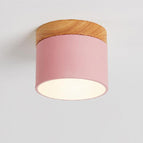 Pink / 3 Colors Changeable (Warm/Neutral/White)