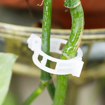 Plant Support Clips with Adjustable Design | Durable Garden Accessories for Healthy Growth