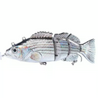 Robotic Fishing Lures