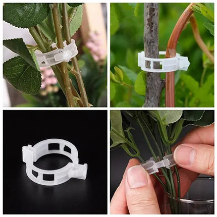 Tomato Clips for Plant Support – image 7