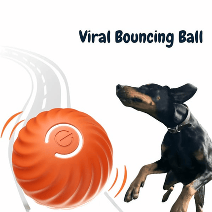 Interactive Dog Ball with Flashing Lights, Durable Dog Toy Ball That Moves – image 9