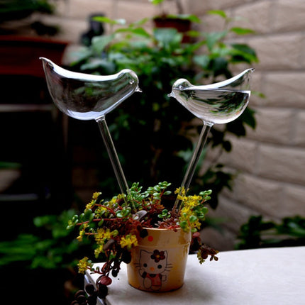 Self-Watering Plant Glass Bulbs with Eco-Friendly Design | Set of 2 for Hassle-Free Plant Care