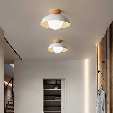 Nordic Dome Ceiling Light with Eco-Friendly Metal & Glass | Soft Diffused Illumination for Modern Spaces