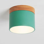 Green / 3 Colors Changeable (Warm/Neutral/White)