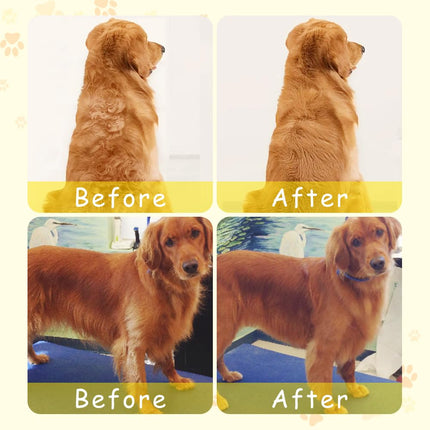 Dog Brushes, Dog Grooming Brush – image 4