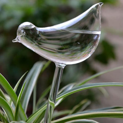 Self-Watering Plant Glass Bulbs with Eco-Friendly Design | Set of 2 for Hassle-Free Plant Care