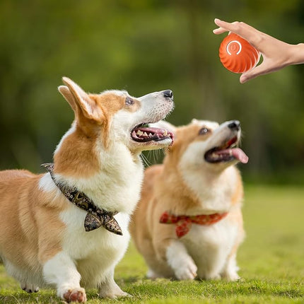 Interactive Dog Ball with Flashing Lights, Durable Dog Toy Ball That Moves – image 15