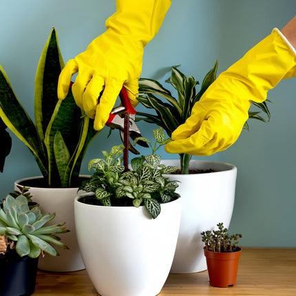 Household Cleaning Rubber Gloves Set with Non-Slip Grip | Multi-Purpose Protection for Kitchen and Gardening Tasks