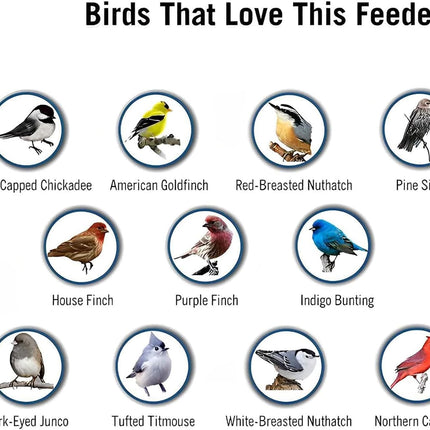Tube Bird Feeder for Cardinals, Squirrel Proof Bird Feeder with 4 Feeding Ports – image 7