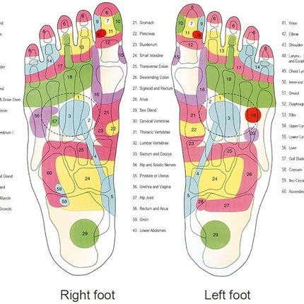 Textured Sole Massage Slippers with Raised Nub Footbed, Wipe Clean Indoor House Slippers in Sizes S, M, L and XL