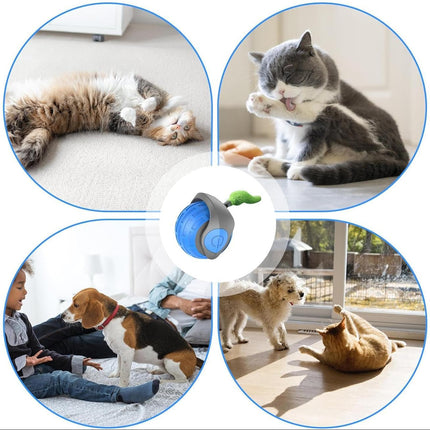 Interactive Cat Toy with Smart Sensors & Motion Play | Engaging Fun for Active Cats