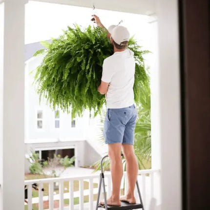 UV Resistant Artificial Plants, Faux Plants – image 6