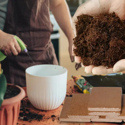 Coconut Coir Brick for Plants, Organic Coco Coir Hydroponic Growing Medium, Compressed Coconut Fiber for Seed – image 4