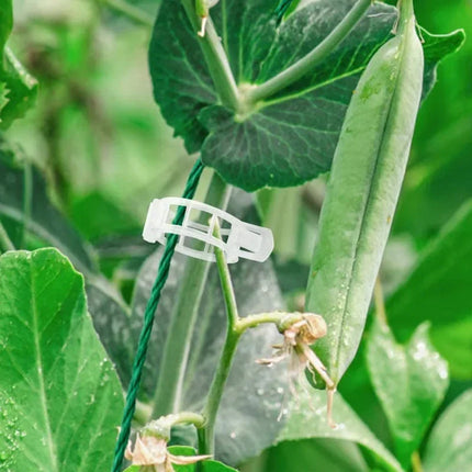Plant Support Clips with Adjustable Design | Durable Garden Accessories for Healthy Growth