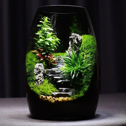 Moss Terrarium with Miniature Garden, Glass Terrarium for Home Decor – image 8